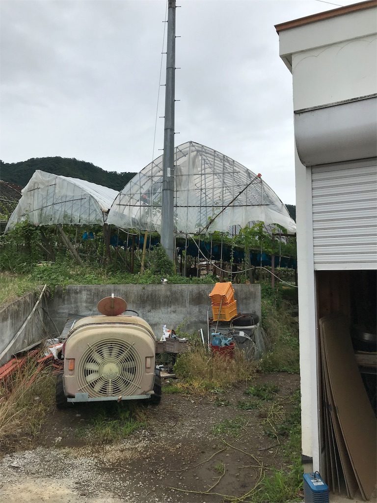 f:id:baroasis:20190727180459j:image f:id:baroasis:20190727180459j:image