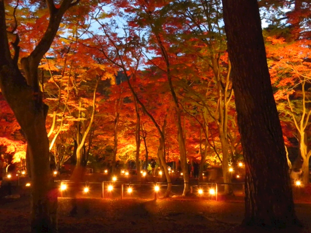 f:id:baroclinic:20161130115522j:image