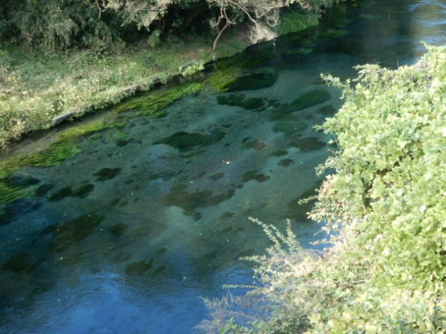 f:id:baroclinic:20191114231915j:image