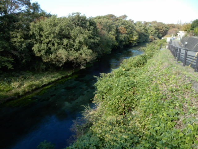 f:id:baroclinic:20191114232041j:image