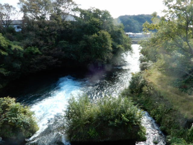 f:id:baroclinic:20191114232450j:image