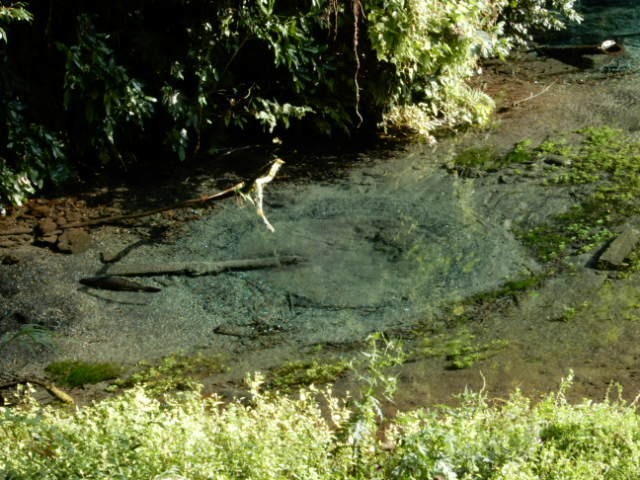 f:id:baroclinic:20191114232726j:image