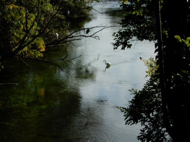 f:id:baroclinic:20191114232922j:image