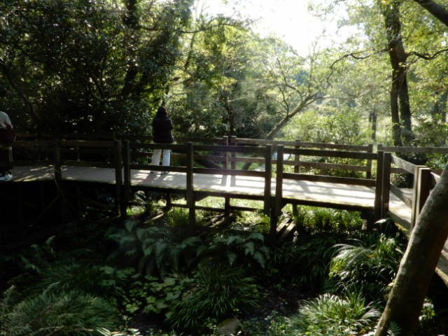 f:id:baroclinic:20191114233013j:image