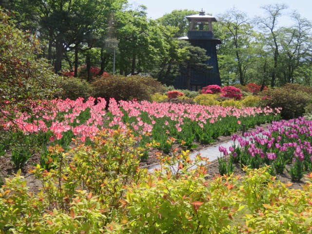 f:id:baroclinic:20220605191938j:image