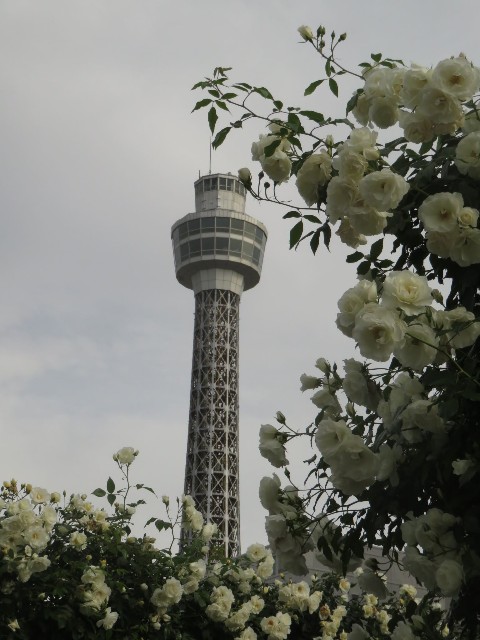 f:id:baroclinic:20250511110352j:image