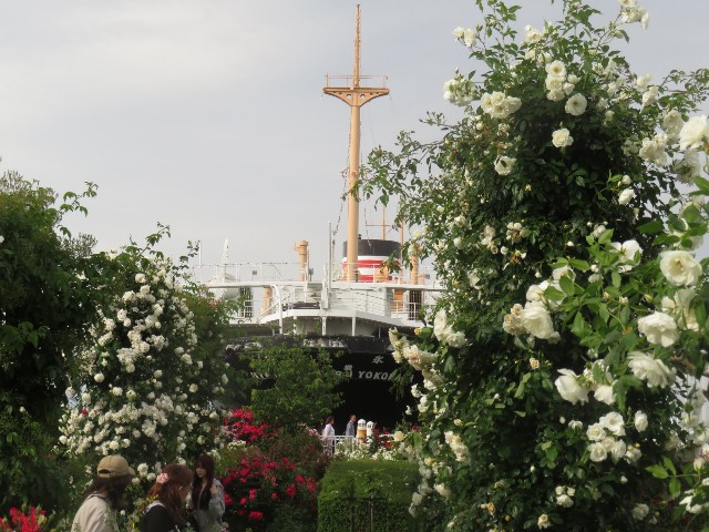 f:id:baroclinic:20250511110447j:image