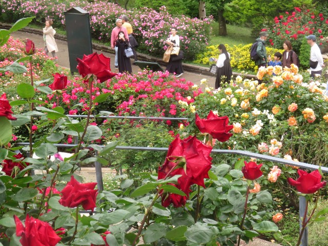 f:id:baroclinic:20250511110948j:image