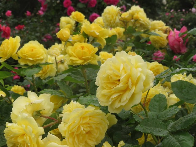 f:id:baroclinic:20250512125808j:image