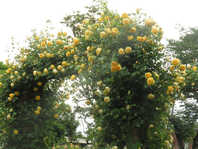 f:id:baroclinic:20250512125848j:image