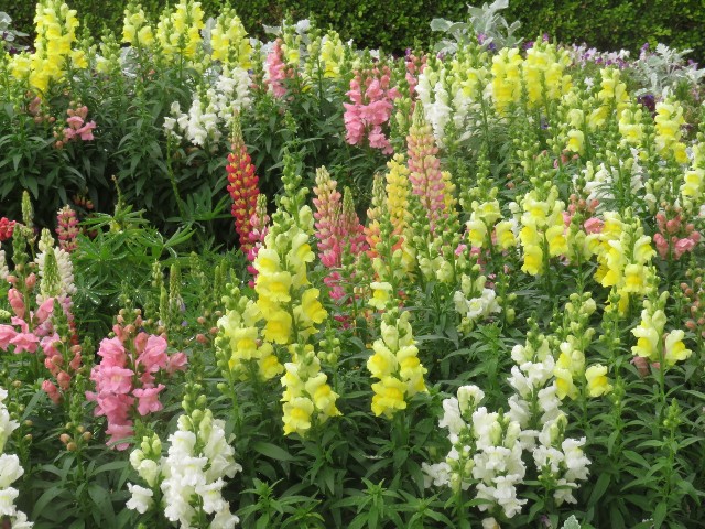 f:id:baroclinic:20250512130422j:image