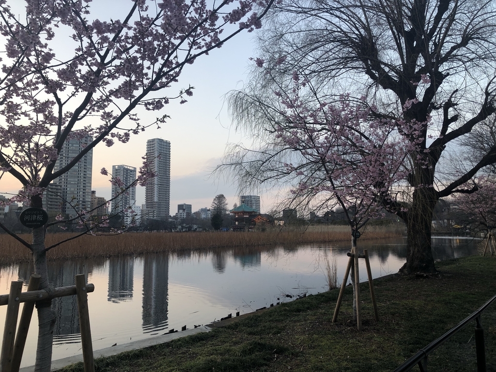 f:id:baronkapan:20190306173307j:plain
