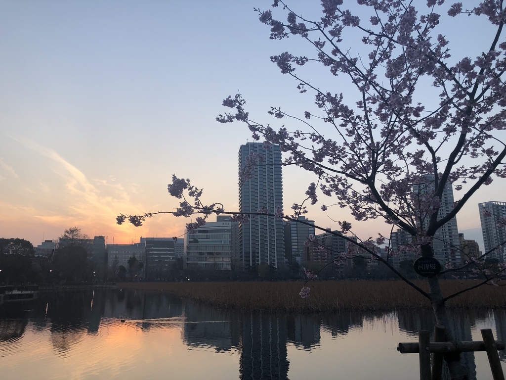 f:id:baronkapan:20190306173319j:plain