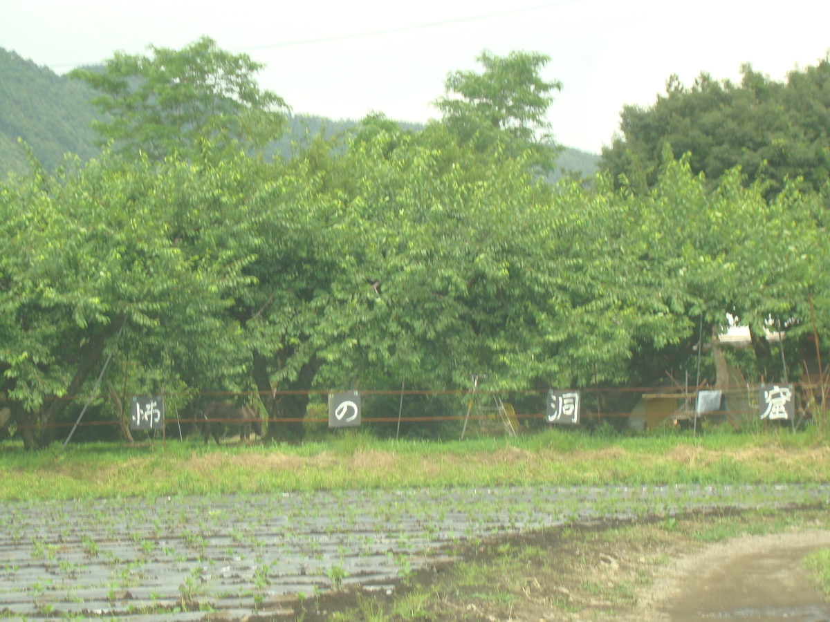 f:id:barotaro:20201018125509j:plain
