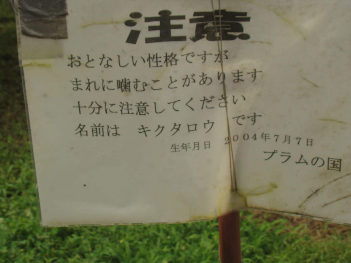 f:id:barotaro:20201018130453j:plain