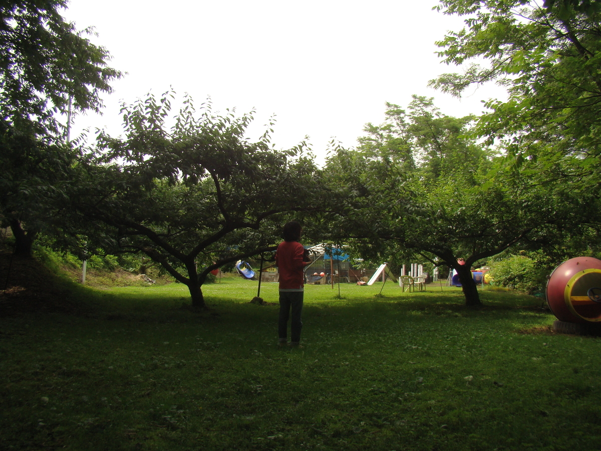 f:id:barotaro:20201018175427j:plain
