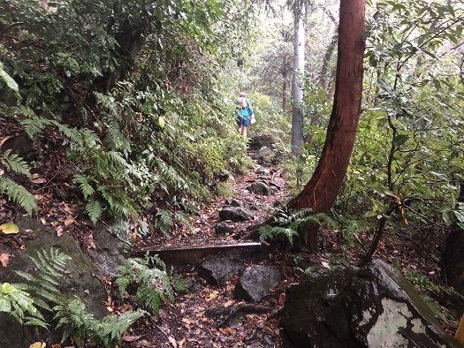 f:id:barumino:20181112110920j:plain