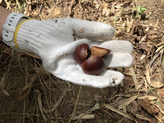 f:id:barumino:20191005151737j:plain