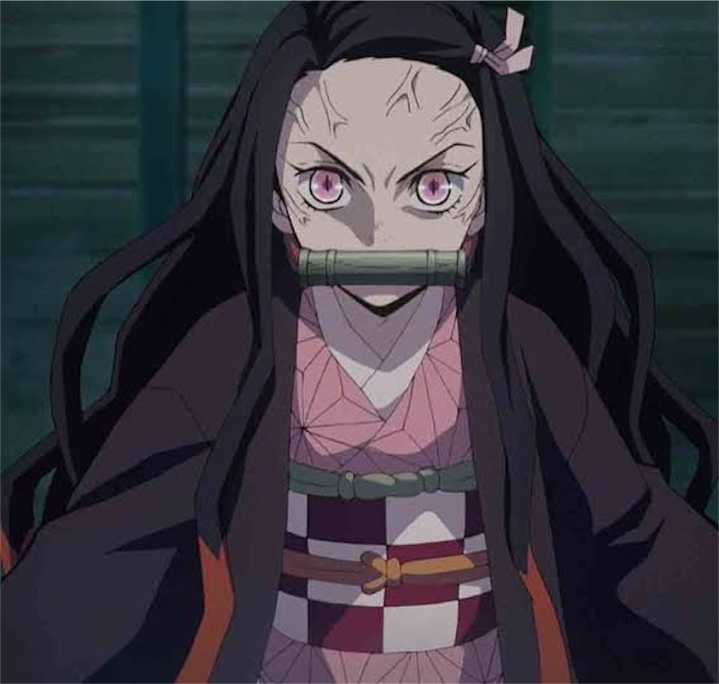 f:id:barussnn127:20210124194939j:image