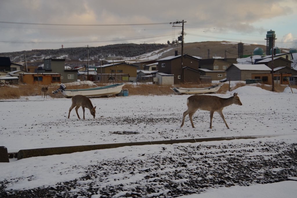 f:id:barussnn127:20220401181048j:image