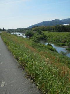 f:id:barutan1962:20120514151202j:image