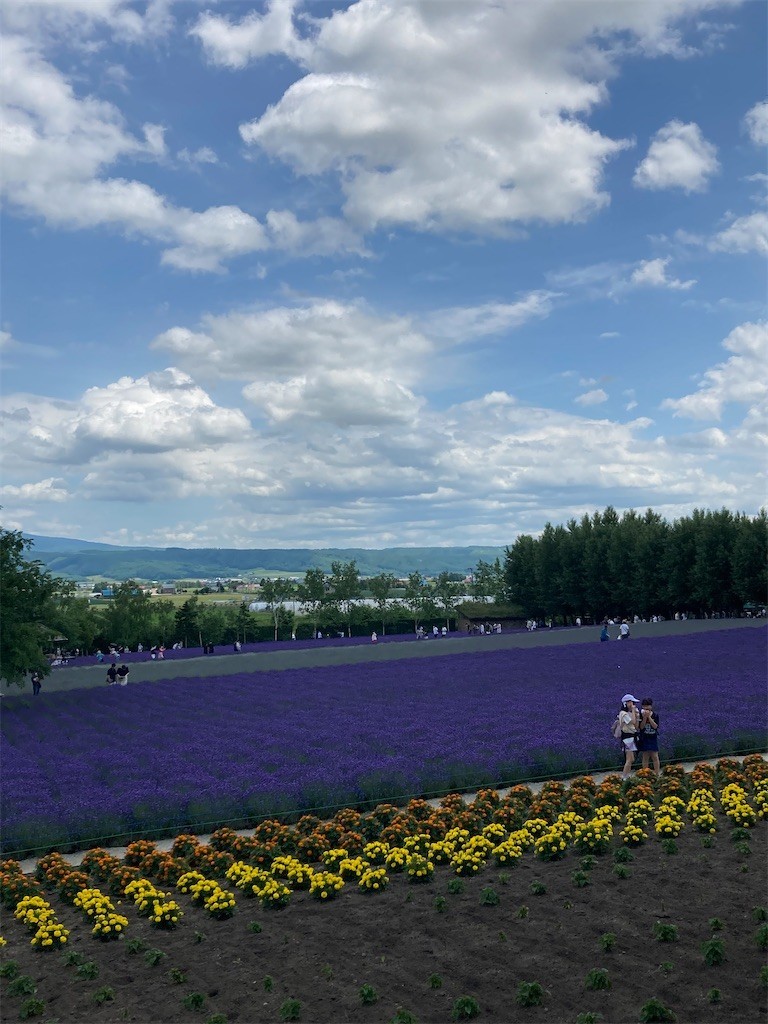 f:id:barutan1962:20220703223121j:image