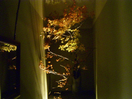 f:id:barvirgo:20051107175536j:image:w150 f:id:barvirgo:20051107175536j:image:w150