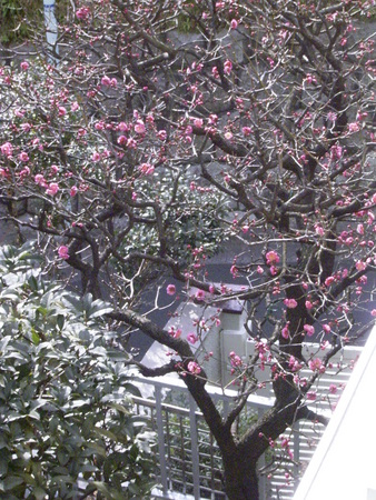 f:id:barvirgo:20080120113421j:image:w250:left