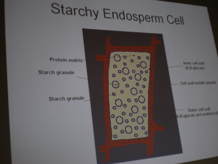 f:id:barvirgo:20081214133111j:image:w145 f:id:barvirgo:20081214133111j:image:w145