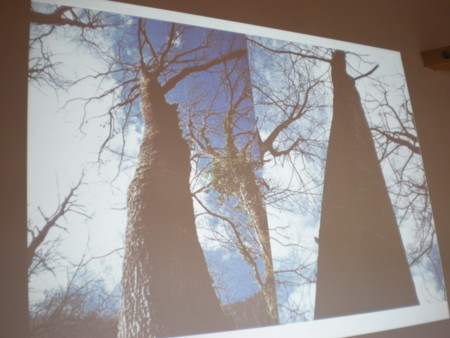 f:id:barvirgo:20081214134815j:image:w145 f:id:barvirgo:20081214134815j:image:w145