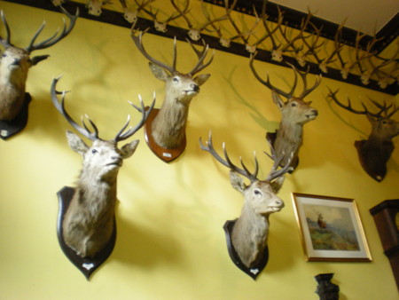 f:id:barvirgo:20090924134215j:image:left:w150