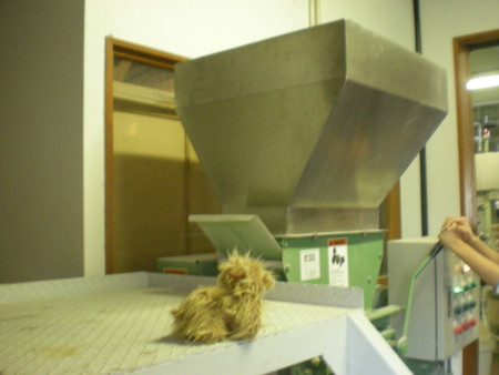 f:id:barvirgo:20100320121252j:image:left:w150