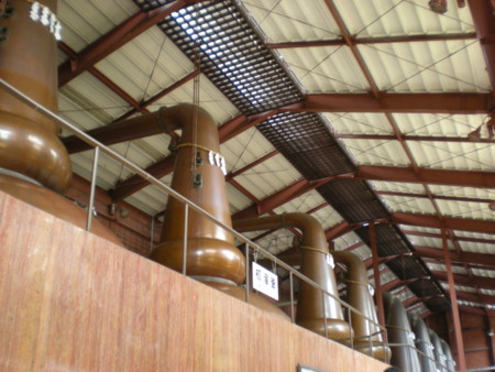 f:id:barvirgo:20100516115500j:image:left:w145