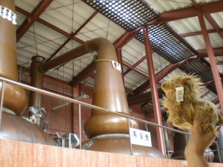 f:id:barvirgo:20100516115543j:image:right:w145