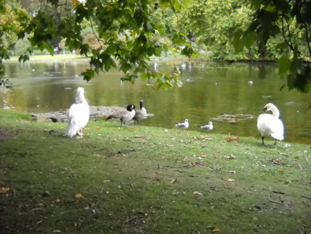 f:id:barvirgo:20110919012028j:image:left:w150 f:id:barvirgo:20110919012028j:image:left:w150