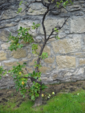 f:id:barvirgo:20110920192607j:image:right:w150