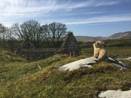 f:id:barvirgo:20160505165837j:image:left:w220