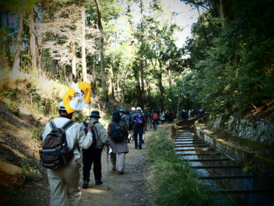 f:id:bary223:20120408105459j:image