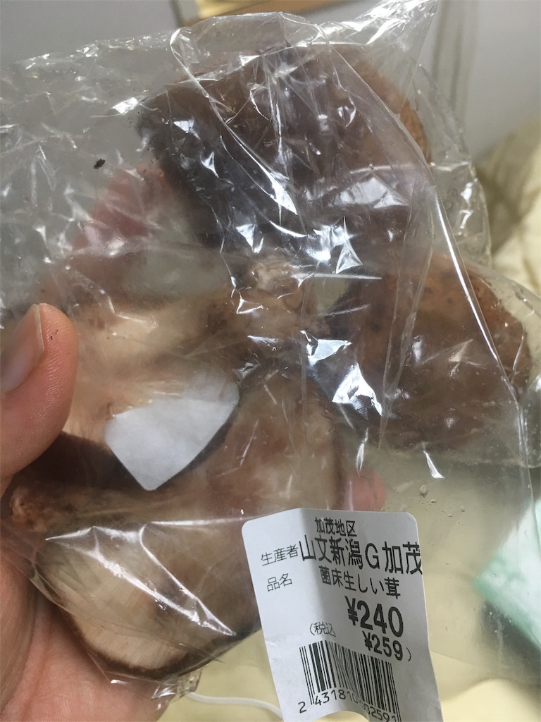 f:id:barzam154:20171024103010j:image f:id:barzam154:20171024103010j:image