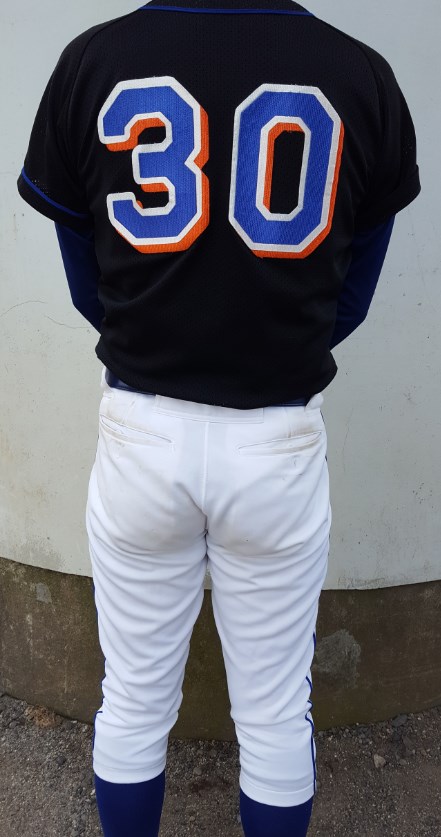 f:id:baseball-birthday:20160824021912j:plain