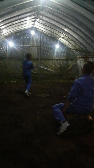 P1000330 P1000330