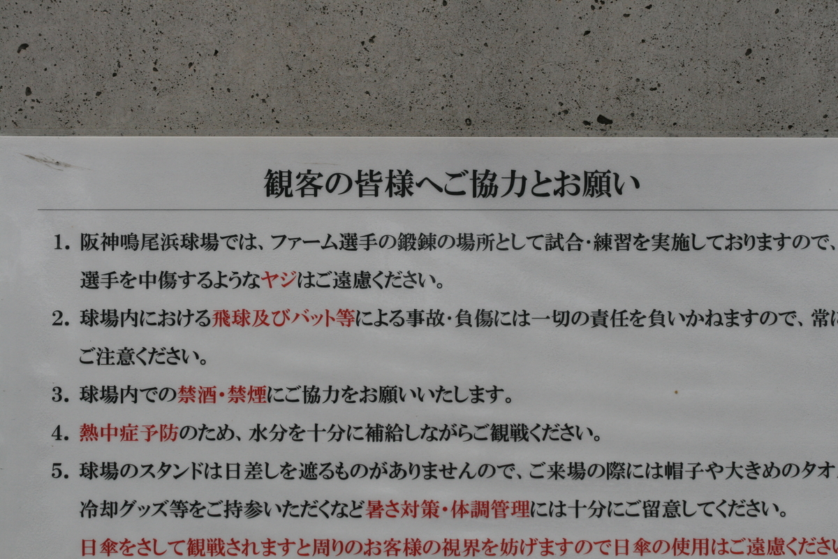 f:id:baseball-cafe:20200114215156j:image