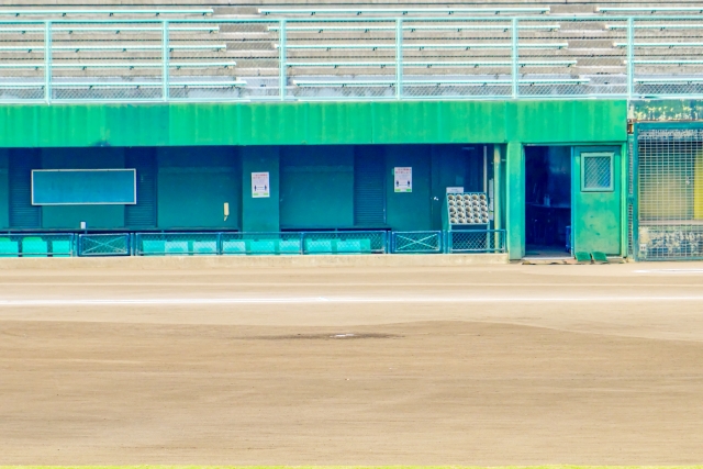 野球 試合日程