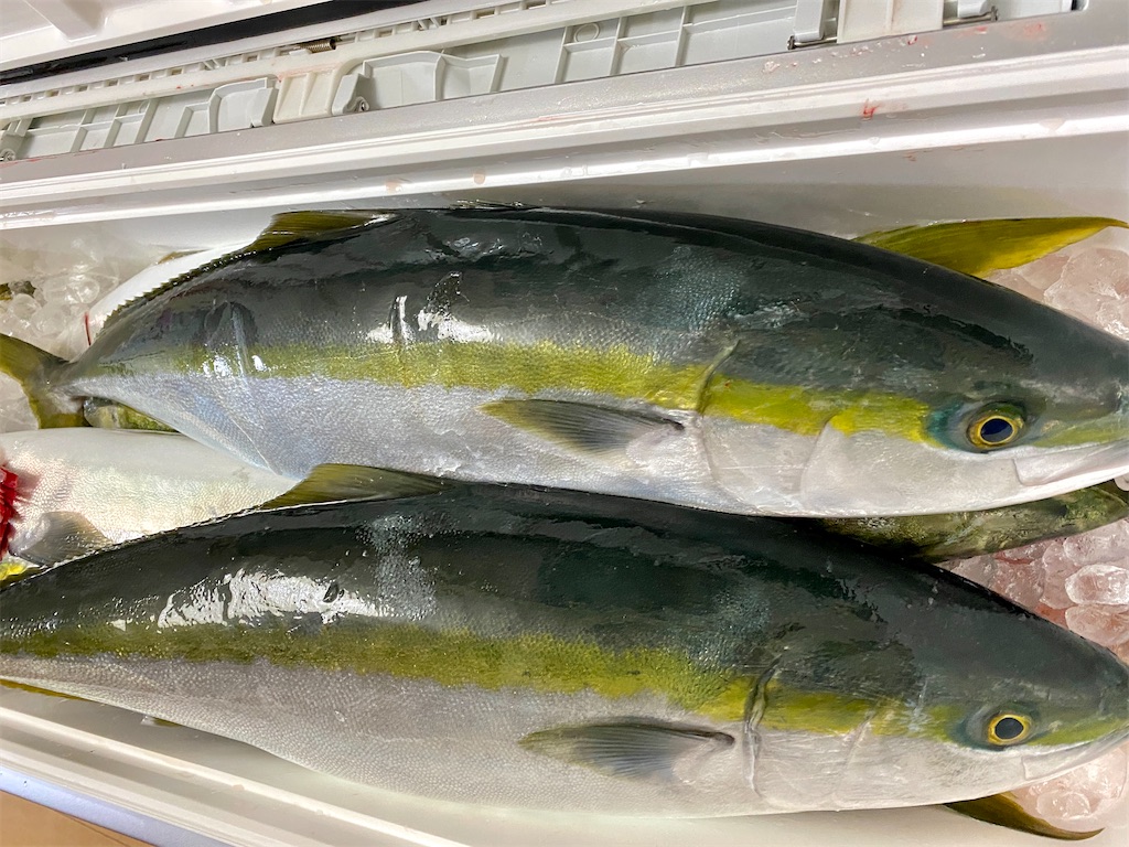 f:id:baseballlll:20210227230426j:image f:id:baseballlll:20210227230426j:image