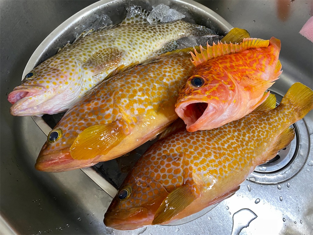 f:id:baseballlll:20210318164057j:image f:id:baseballlll:20210318164057j:image