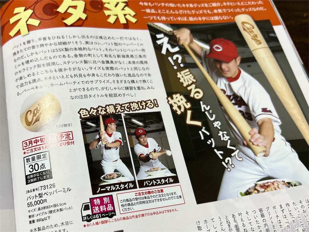 f:id:baseballlll:20230122203108j:image