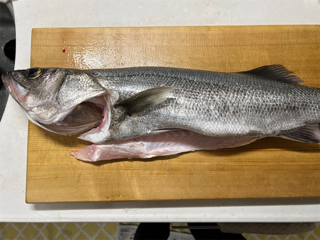 f:id:baseballlll:20241127162641j:image