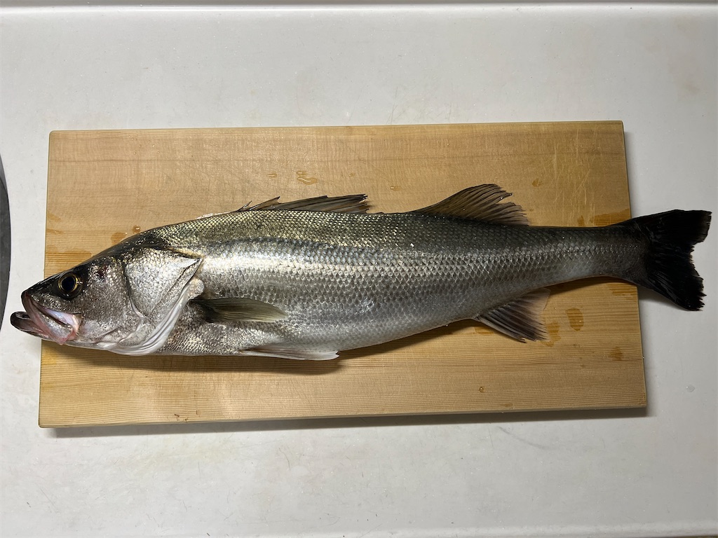 f:id:baseballlll:20241127162644j:image