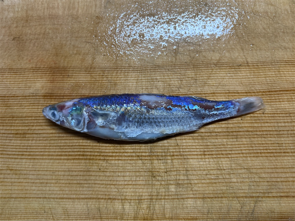 f:id:baseballlll:20241127162647j:image