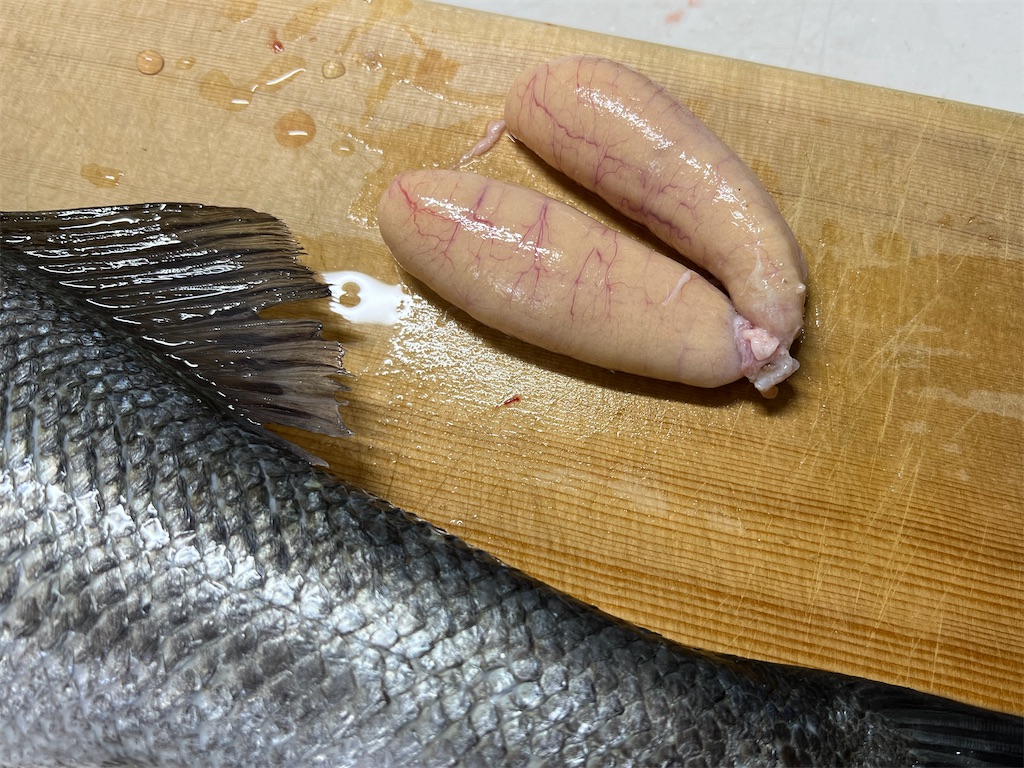 f:id:baseballlll:20241127162651j:image